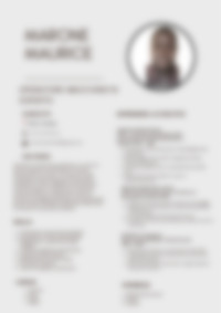 Cv Preview