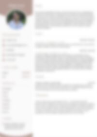 Cv Preview