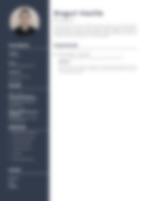 Cv Preview