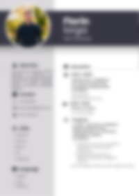Cv Preview