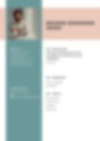 Cv Preview
