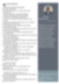 Cv Preview