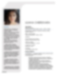 Cv Preview