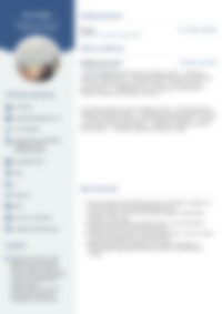 Cv Preview