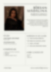 Cv Preview
