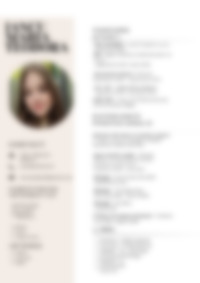 Cv Preview