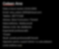 Cv Preview