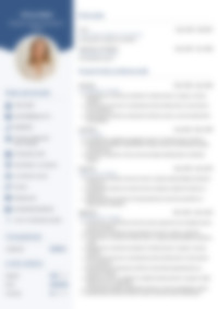 Cv Preview
