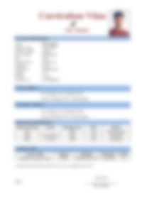 Cv Preview