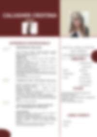 Cv Preview
