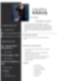 Cv Preview