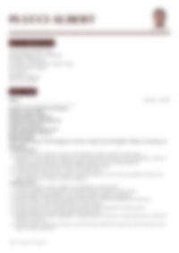 Cv Preview