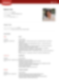 Cv Preview