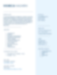 Cv Preview