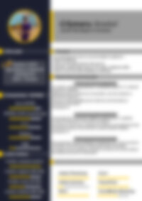 Cv Preview