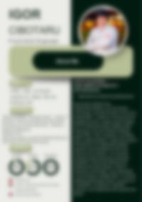 Cv Preview