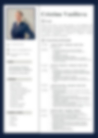 Cv Preview