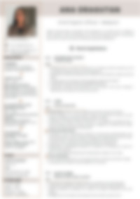 Cv Preview