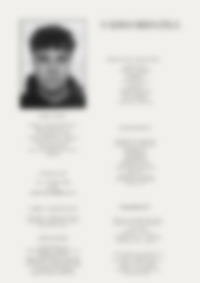 Cv Preview