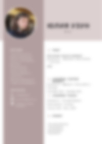 Cv Preview
