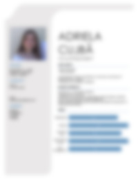 Cv Preview