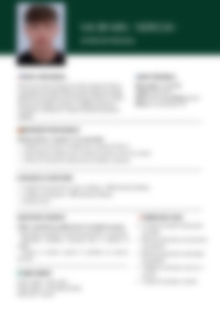 Cv Preview