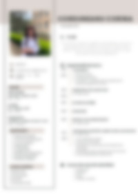 Cv Preview