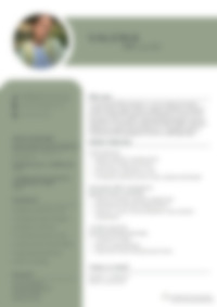Cv Preview