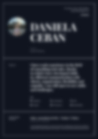 Cv Preview