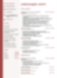 Cv Preview