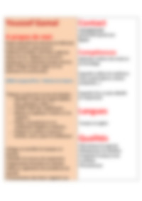 Cv Preview