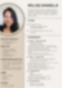 Cv Preview
