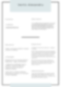 Cv Preview