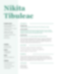 Cv Preview