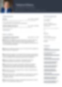 Cv Preview