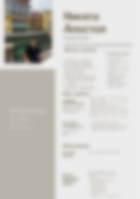 Cv Preview