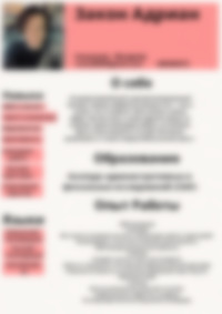 Cv Preview