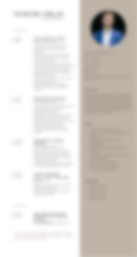 Cv Preview
