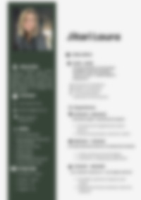 Cv Preview