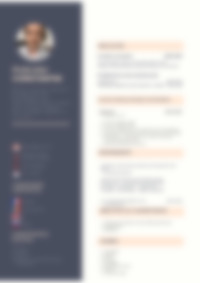 Cv Preview