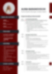 Cv Preview