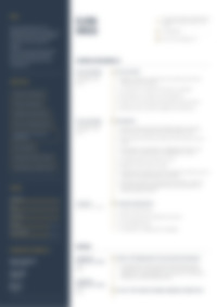 Cv Preview