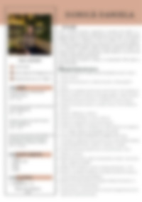 Cv Preview
