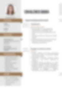 Cv Preview