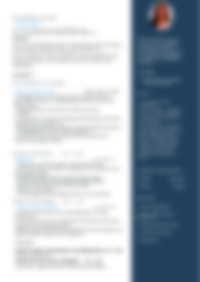 Cv Preview