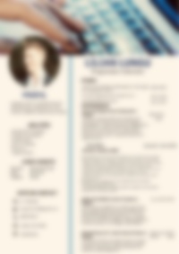 Cv Preview