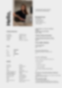 Cv Preview