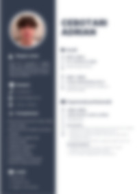 Cv Preview