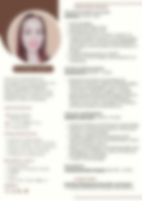 Cv Preview