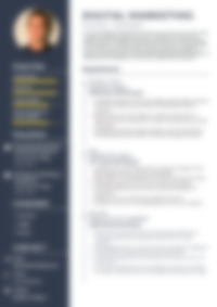 Cv Preview